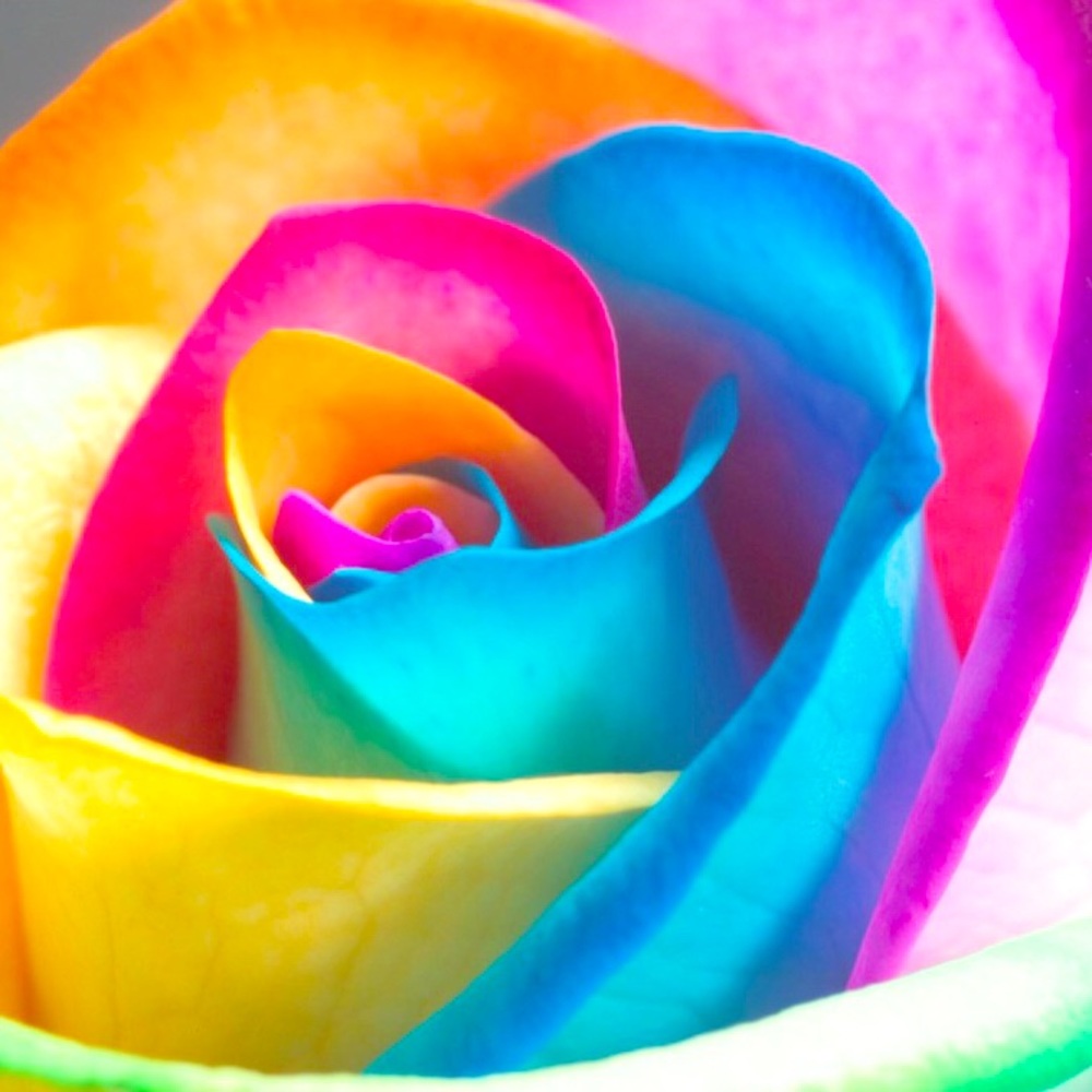 Meet your Posher, Brandi